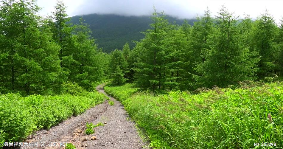 ［4K］ 草地野花 4K片源 超高清实拍视频素材 自然风景山水花草树木瀑布超清素材