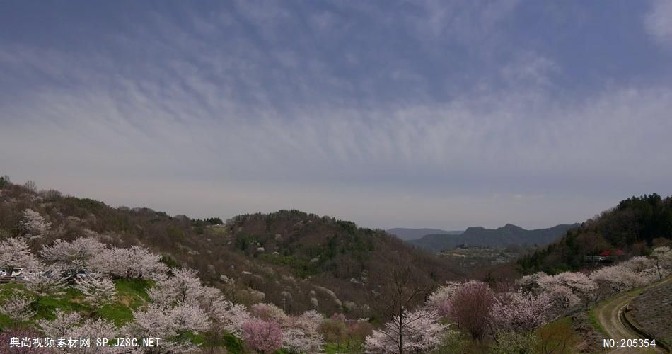 ［4K］ 山间樱花 4K片源 超高清实拍视频素材 自然风景山水花草树木瀑布超清素材