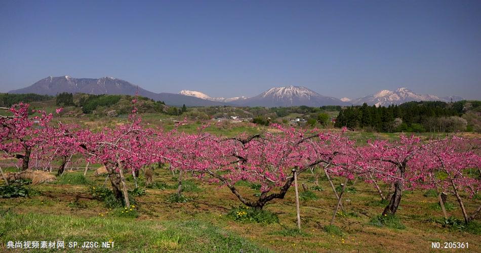 ［4K］ 原野美景 4K片源 超高清实拍视频素材 自然风景山水花草树木瀑布超清素材