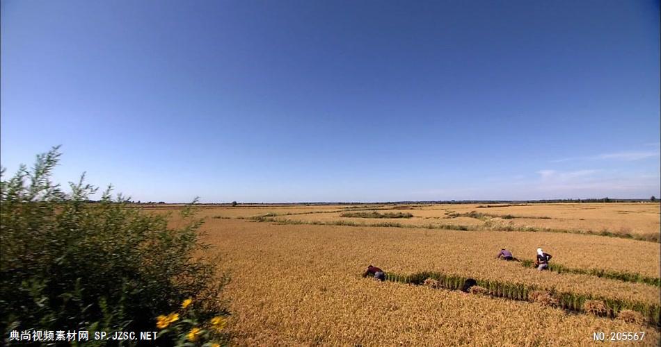 自然美景含日出 (1)湖边高山云层星空城市乡村梯田日出日落风景高清实拍视频素材