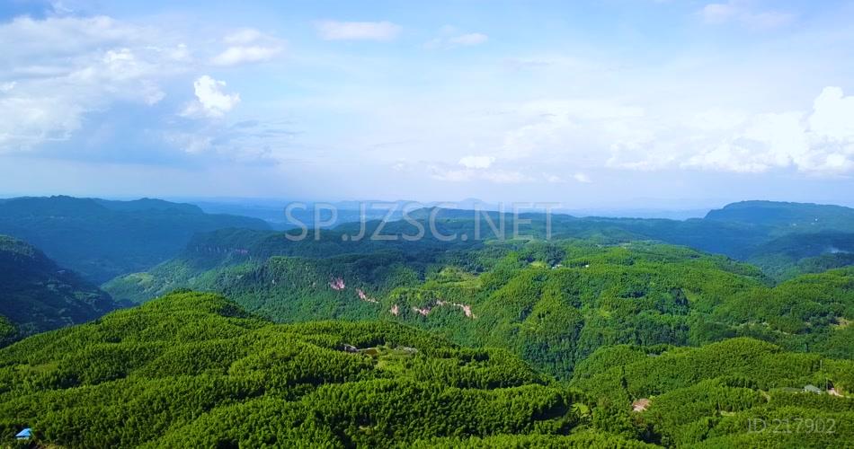 竹海 竹林竹子 风景 航拍素材实拍